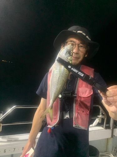 マアジの釣果