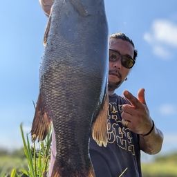 スモールマウスバス