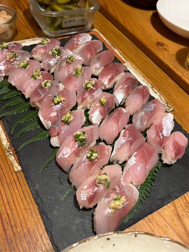 ワカシの釣果