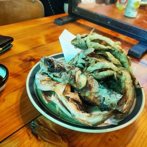 ニジマスの釣果