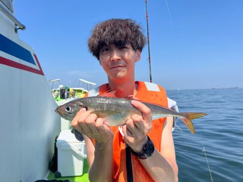 マアジの釣果