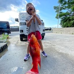 バラハタ