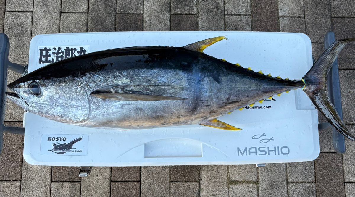 シマシマのSHIMANOさんの釣果 2枚目の画像