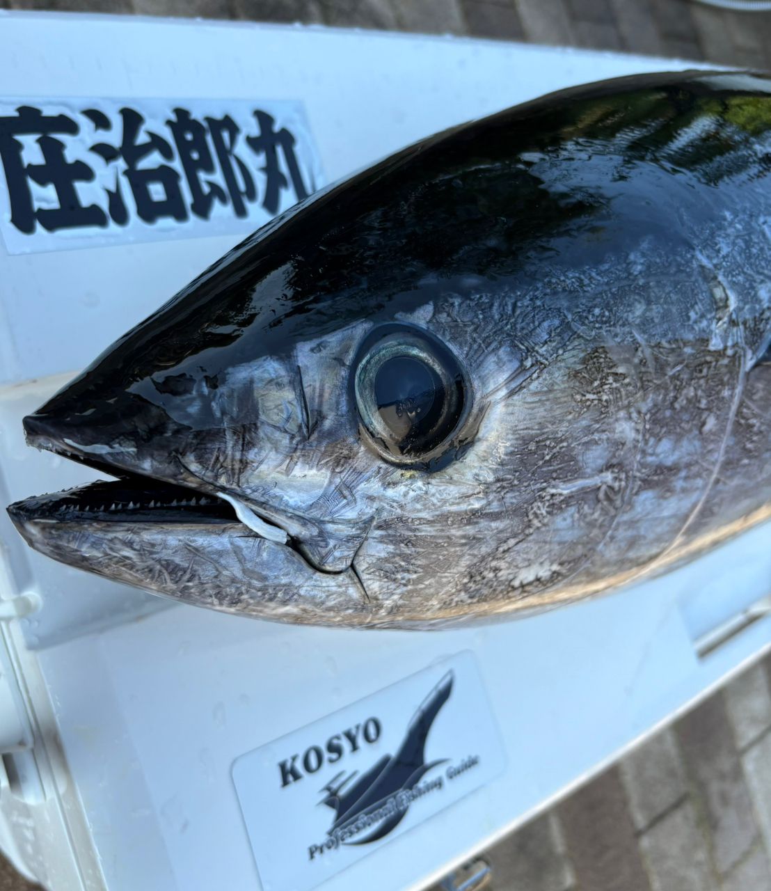 シマシマのSHIMANOさんの釣果 3枚目の画像