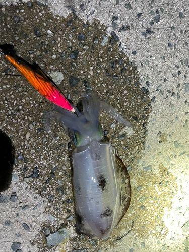 七類湾