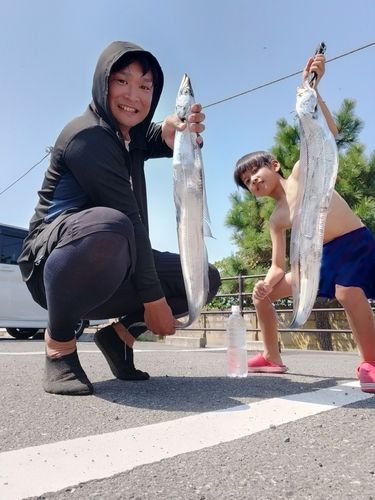 タチウオの釣果