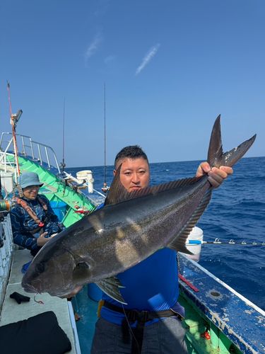 カンパチの釣果