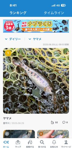 ヤマメの釣果