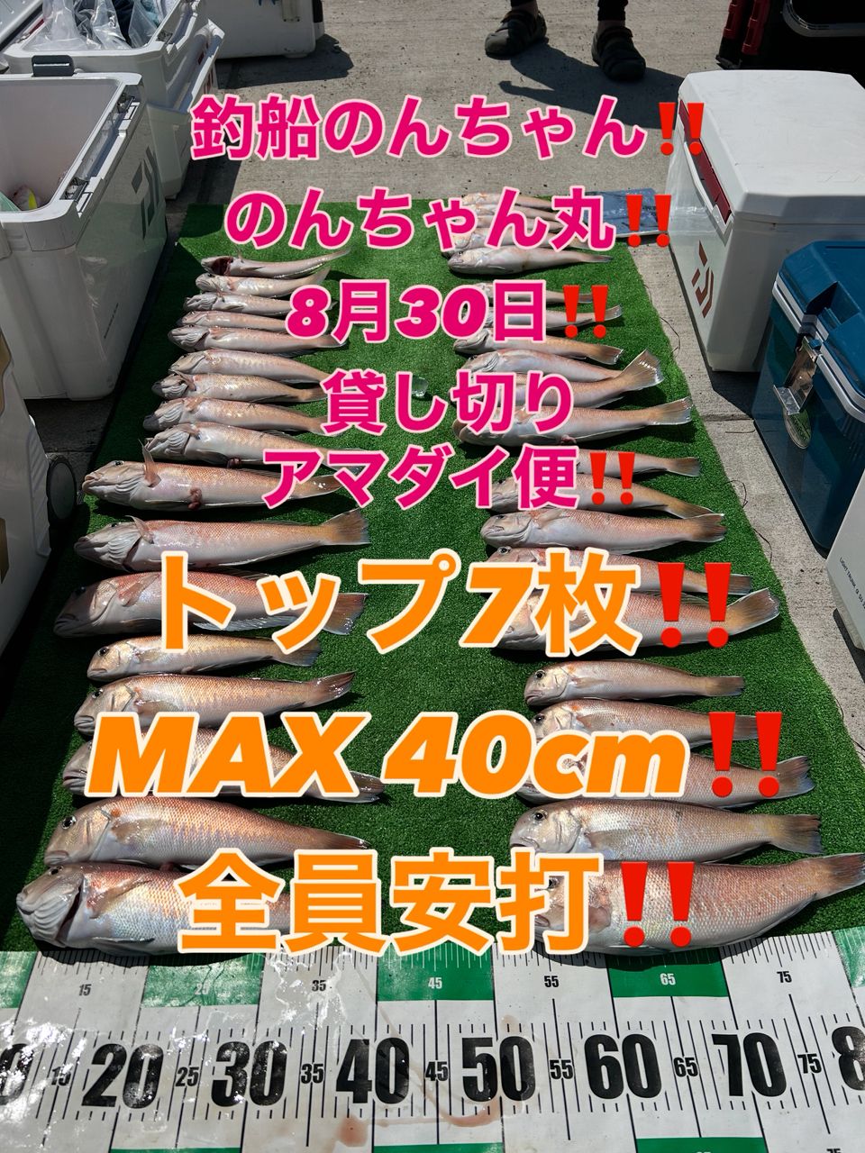 シロアマダイ