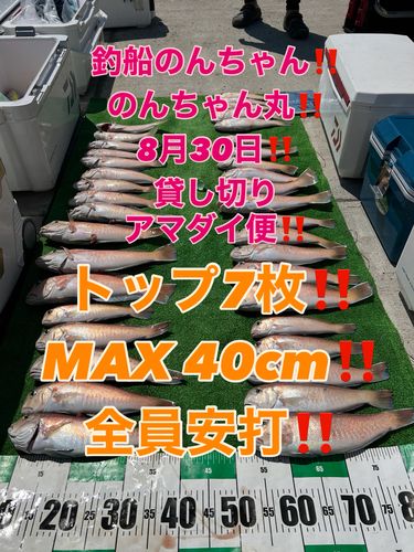 シロアマダイの釣果