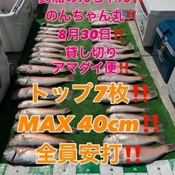 シロアマダイ