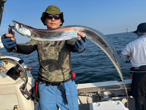 タチウオの釣果