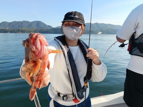ガシラの釣果