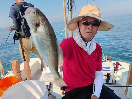 シログチの釣果