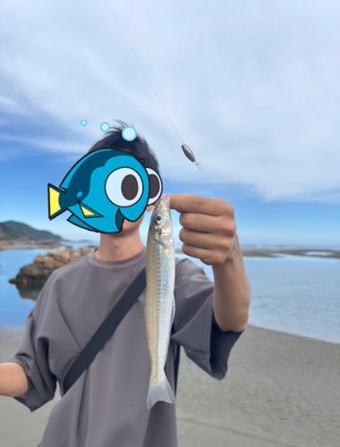 細島