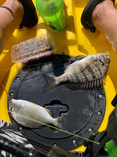 細江湖