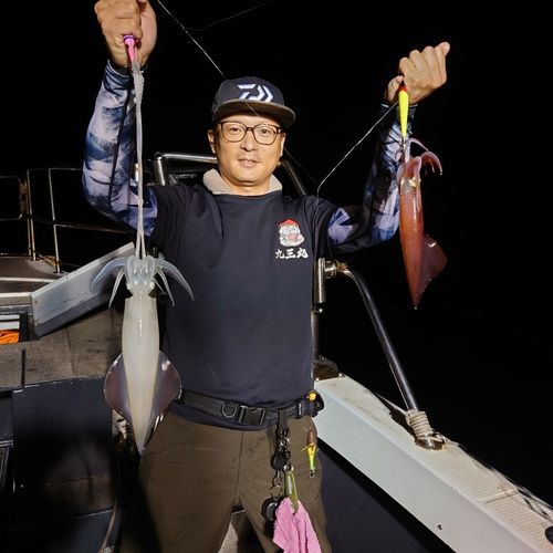 ヤリイカの釣果