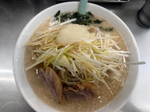 カタクチイワシの釣果