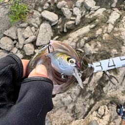 スモールマウスバス