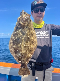 ヒラメの釣果
