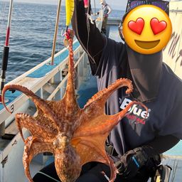 タコ