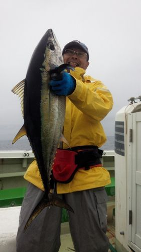 キメジの釣果