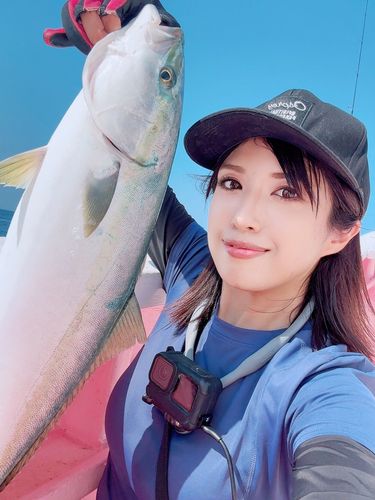 ワラサの釣果