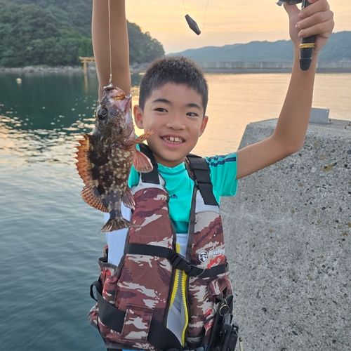 ガシラの釣果