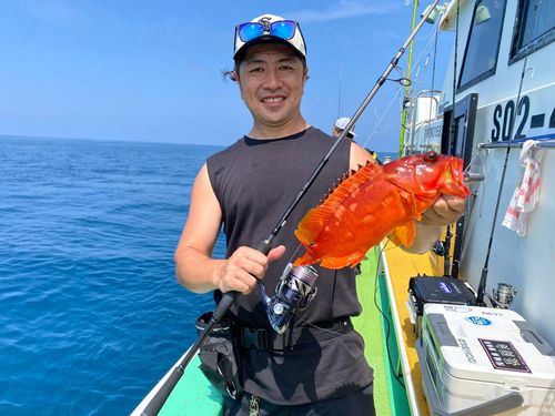 アカハタの釣果