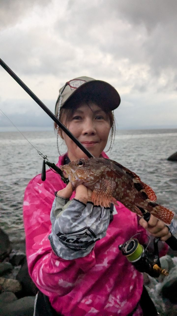 カサゴ
