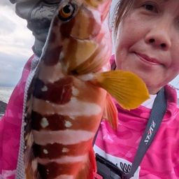 オオモンハタ