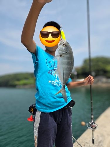 メッキの釣果