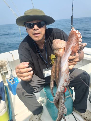 マダコの釣果