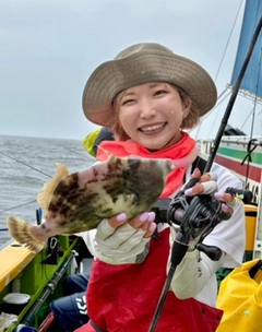 カワハギの釣果