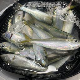 サッパ