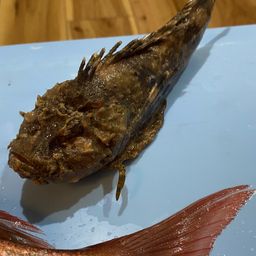 オニオコゼ