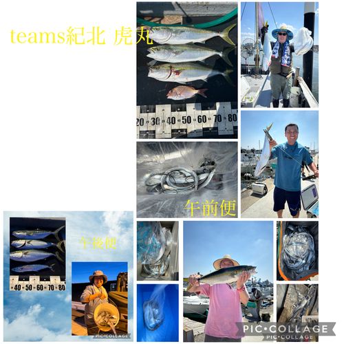タチウオの釣果