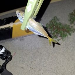 アジ