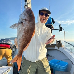 タイの釣果