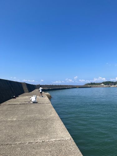 オニオコゼの釣果