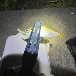 アジ