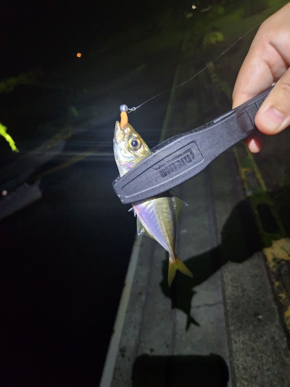 アジ