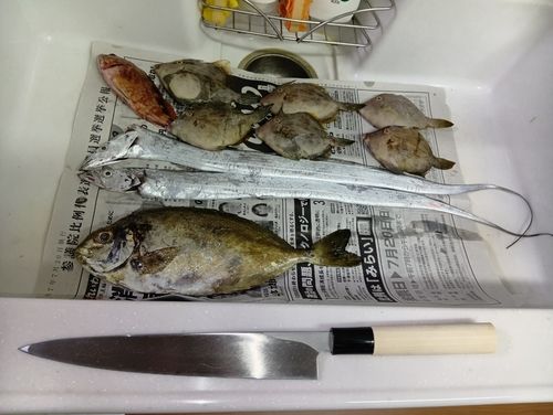 釣果