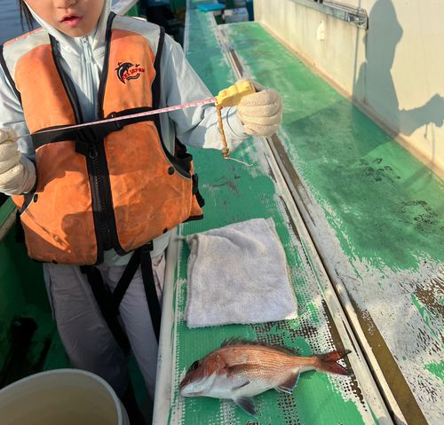 シイラの釣果