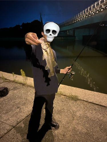 伊万里湾大橋