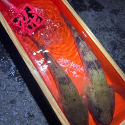 ハゼ