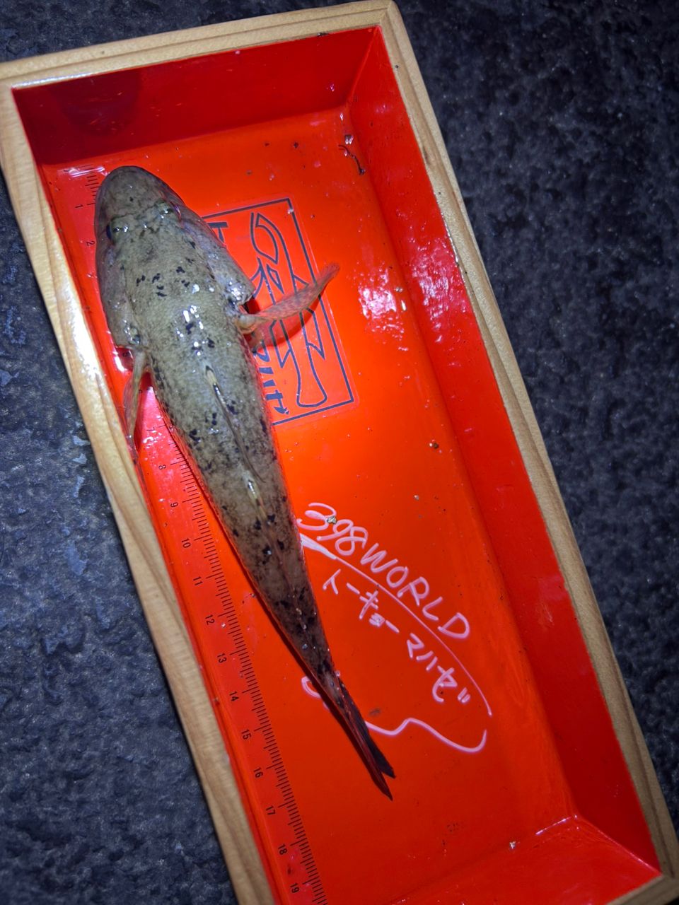 ハゼ