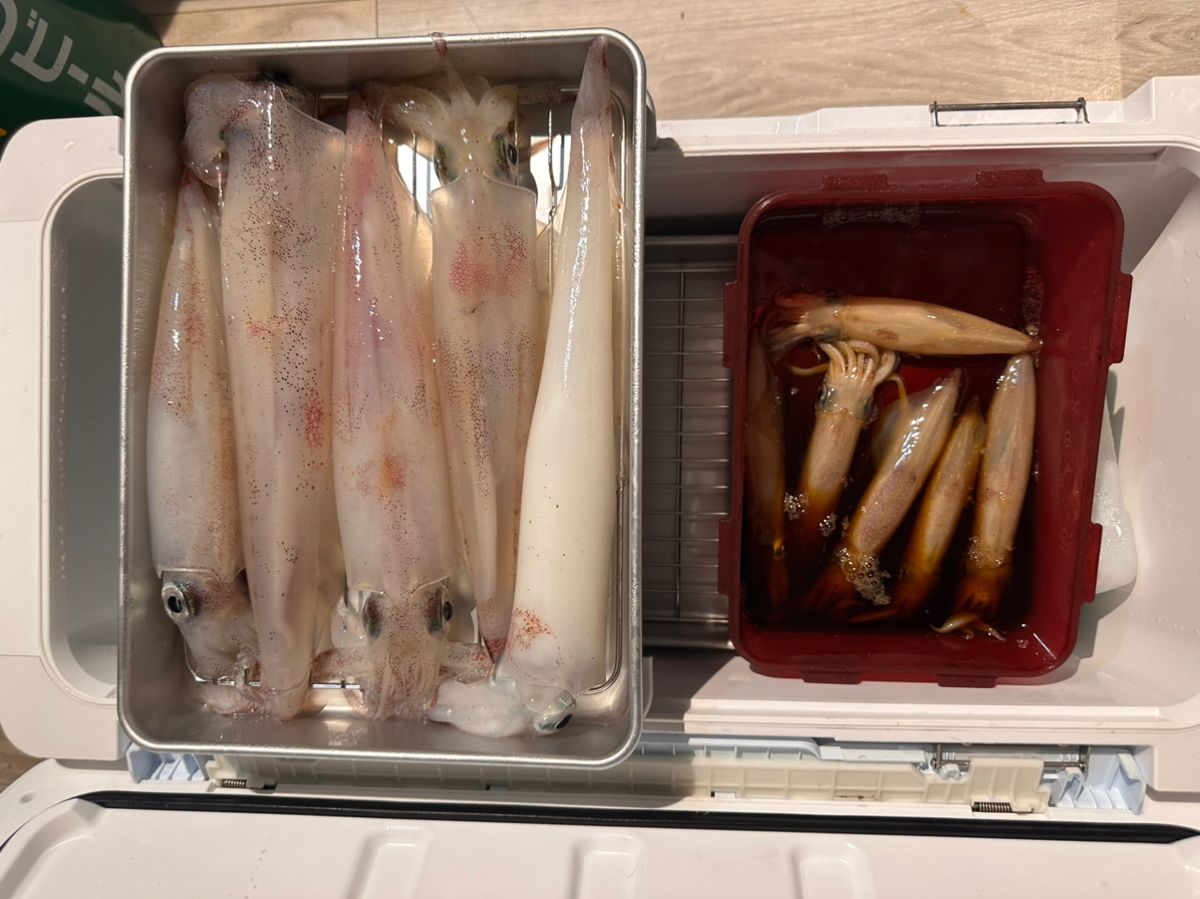 いかおとこさんの釣果 1枚目の画像