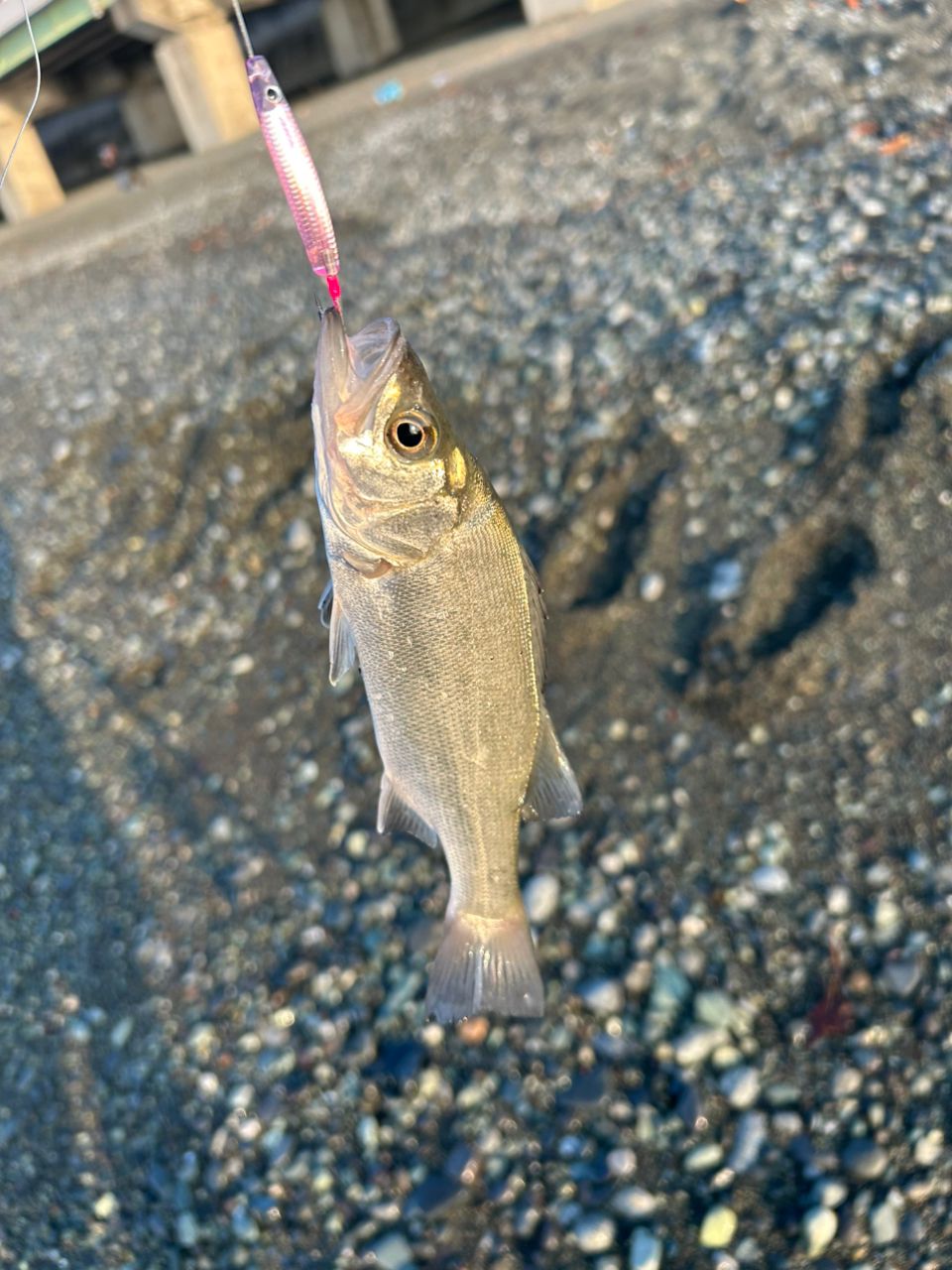 メッキ