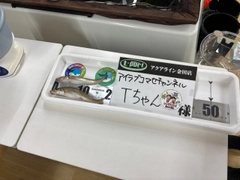 キスの釣果